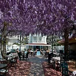 Hotel Azak Alanya